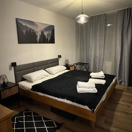 Apartment Im In Black Forest Mit Balkon Indoorpool Tiefgaragenstellplatz