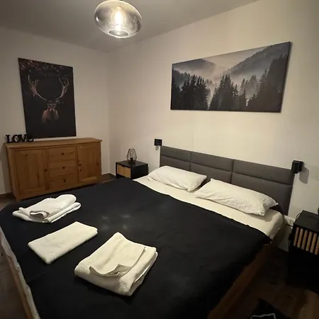 Im In Black Forest Mit Balkon Indoorpool Tiefgaragenstellplatz Apartmán Schluchsee