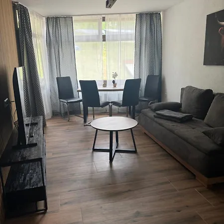 Im In Black Forest Mit Balkon Indoorpool Tiefgaragenstellplatz 4* Schluchsee